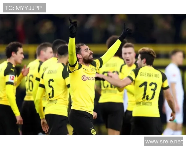 多特蒙德足球明星卡片收藏价值解析及市场趋势分析