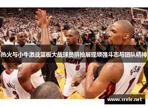 热火与小牛激战篮板大战球员拼抢展现顽强斗志与团队精神