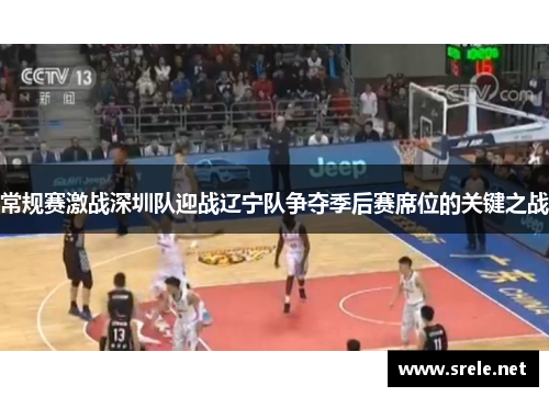 常规赛激战深圳队迎战辽宁队争夺季后赛席位的关键之战